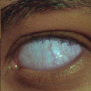 Meet your Posher, Monsterfake